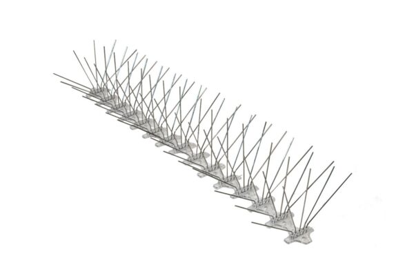 Stainless Steel Pigeon Bird Spikes - 8in with a Wide Base of 100ft
